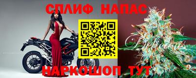 эйфоретик Гай