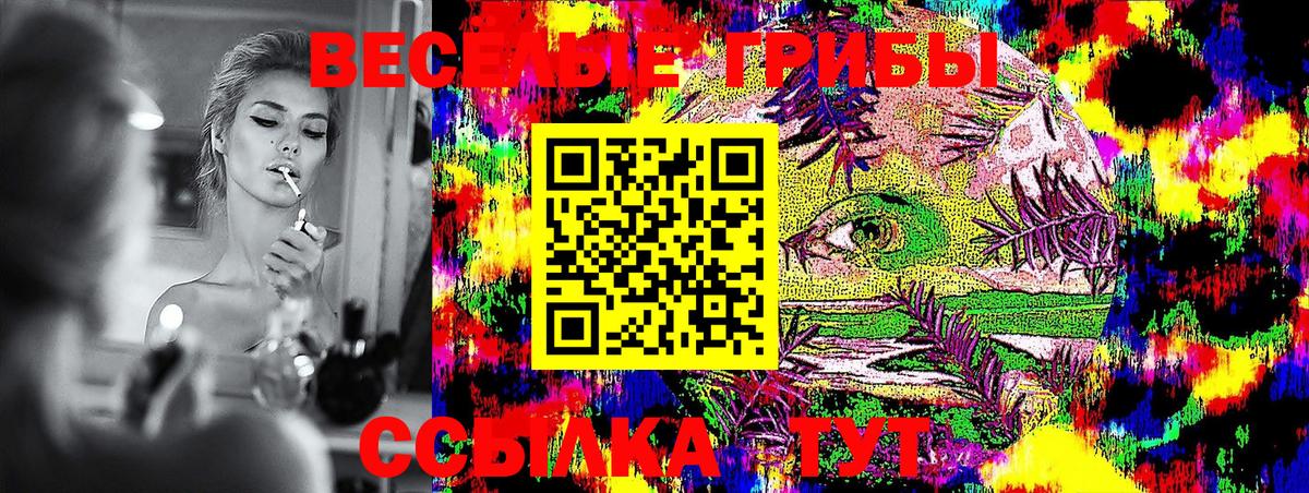 Иркутск  Псилоцибиновые грибы Psilocybine cubensis  Вход с VPN  Галлюциногенные грибы GOLDEN TEACHER 