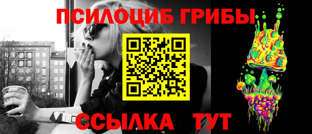 Псилоцибиновые грибы Psilocybine cubensis Иркутск